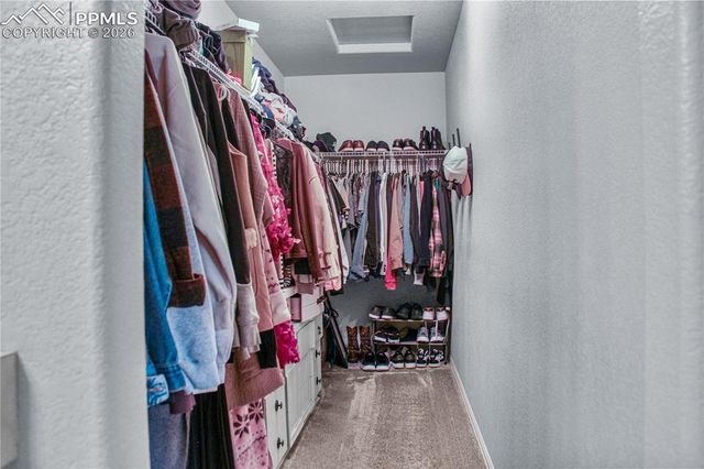 7649 Grand Fir Point, Colorado Springs, CO 80908