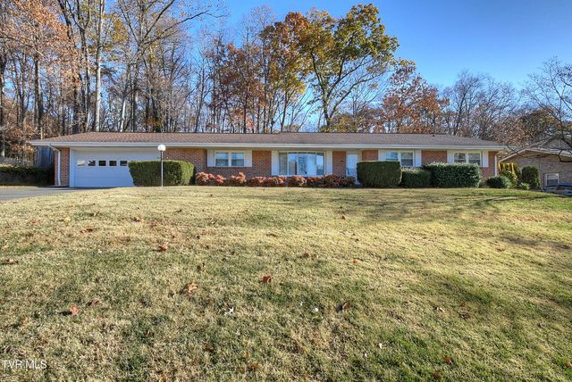 3602 Cimarron Drive, Johnson City, TN 37601