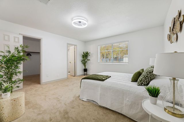 11535 Sandy Loam TRL, Austin, TX 78750