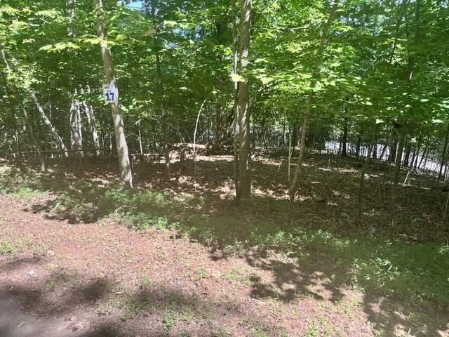 17 E Dogwood, Hayesville, NC 28904