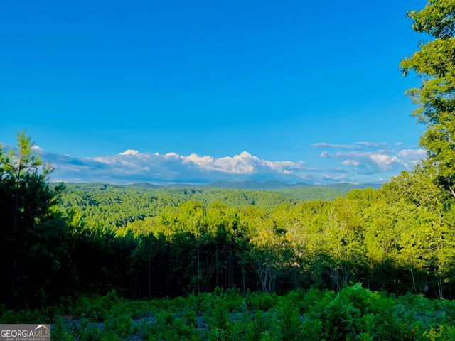 655 Lookout Valley Trail, Talking Rock, GA 30175