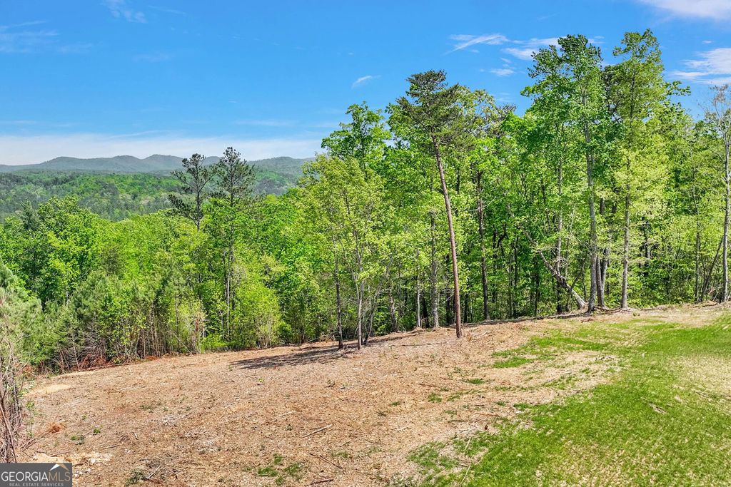 655 Lookout Valley Trail, Talking Rock, GA 30175