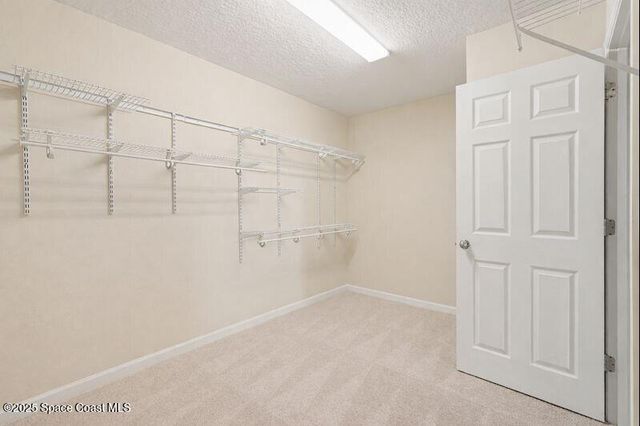 505 Horsemint Avenue, West Melbourne, FL 32904