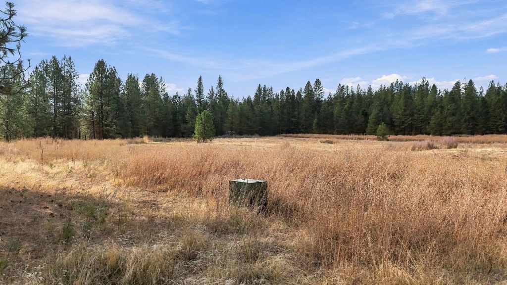 1517 W Victoria Ln, Spokane, WA 99224 photo 3