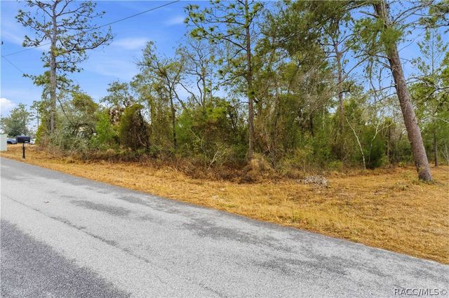11063 Liberto Road, Weeki Wachee, FL 34614