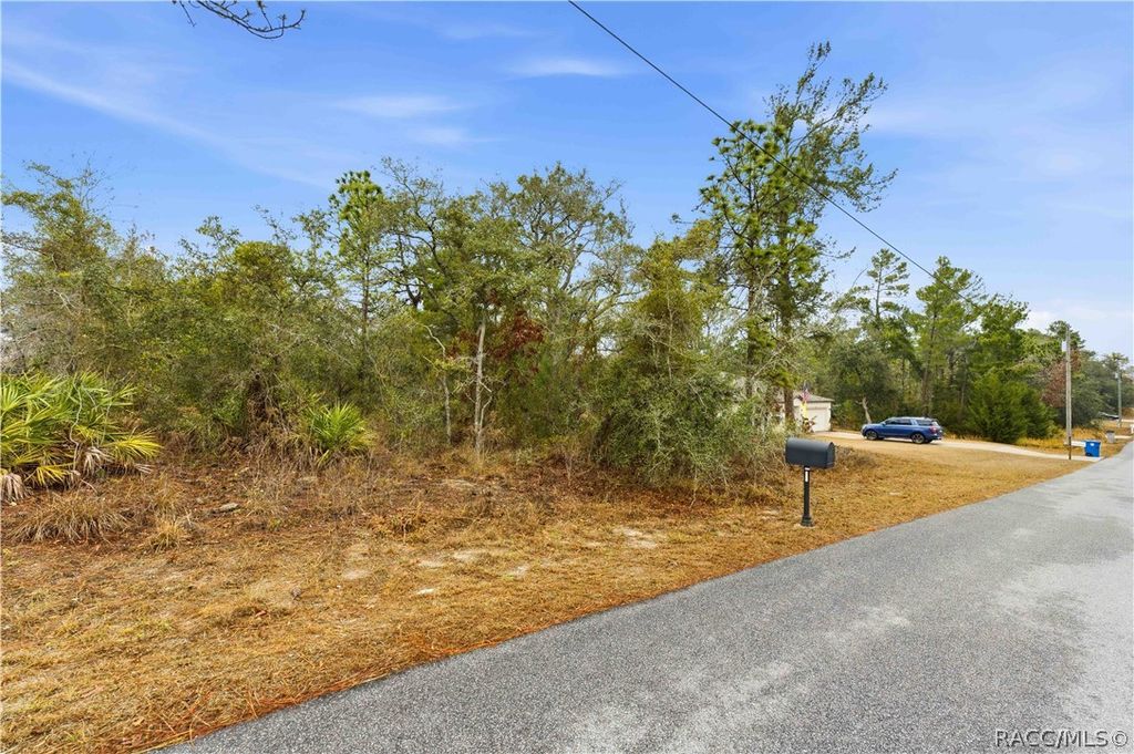 11063 Liberto Road, Weeki Wachee, FL 34614