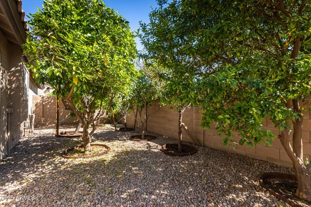 11117 W WILSHIRE Drive, Avondale, AZ 85392