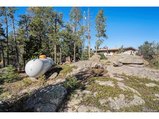 8701 Majestic View Dr, Conifer, CO 80433