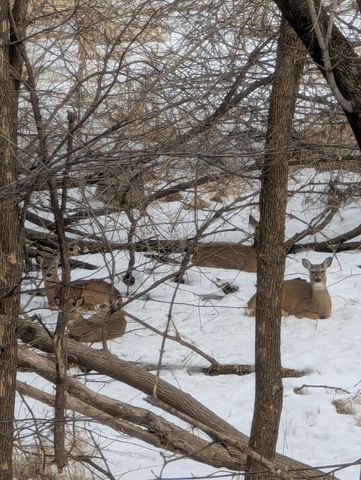 16420 Lake Ridge Drive, Maple Grove, MN 55311