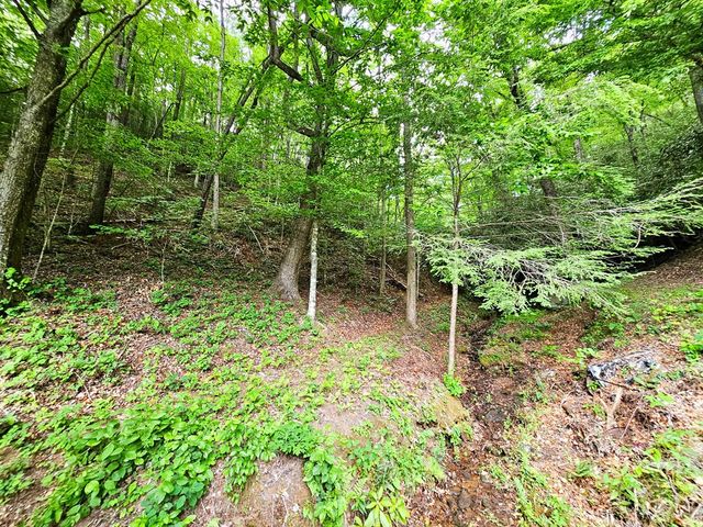 45 Sulpher Lane, Andrews, NC 28901