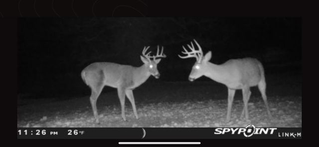 441 W Farm Road 96, Springfield, MO 65803