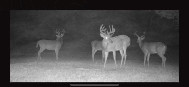 441 W Farm Road 96, Springfield, MO 65803