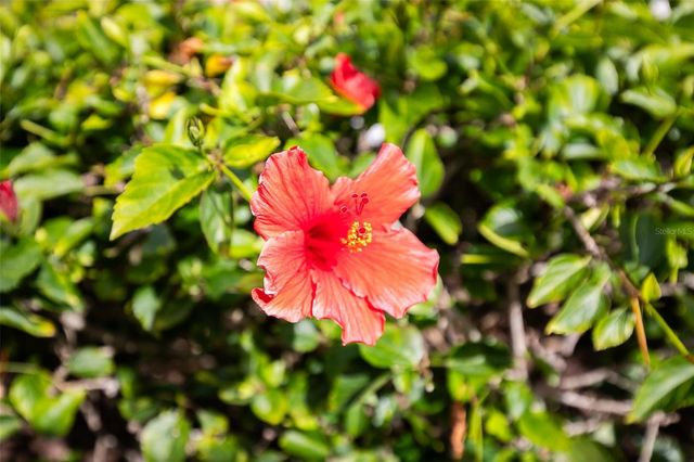 1100 CAPRI ISLES BOULEVARD 325, Venice, FL 34292