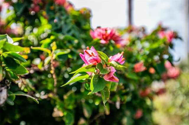 1100 CAPRI ISLES BOULEVARD 325, Venice, FL 34292