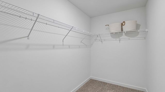13507 S Mesa Drive, Plainfield, IL 60544