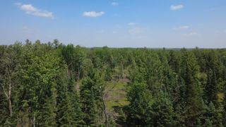 x Oleskie Trail, West Branch, MI 48661
