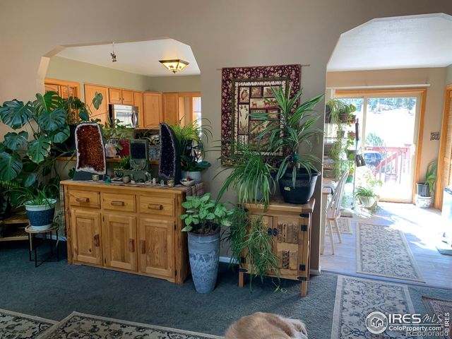 582 Meadowview Drive, Estes Park, CO 80517