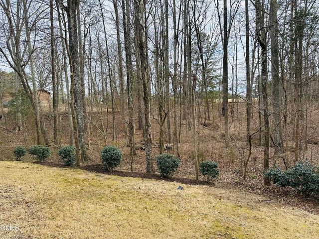 1037 Bender Ridge Drive, Morrisville, NC 27560