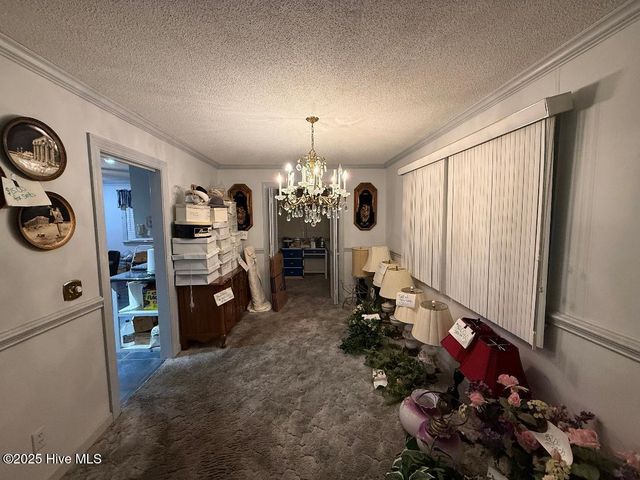 604 Eleanor Street, Greenville, NC 27858