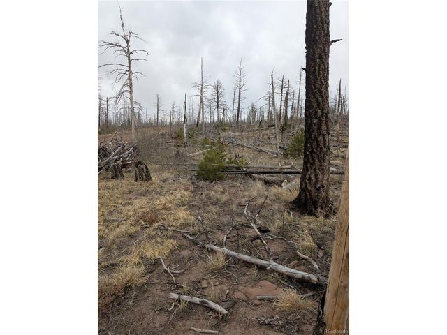 2296 Wohlstetter Loop, Fort Garland, CO 81133
