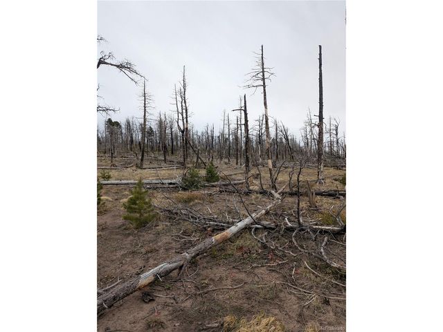 2296 Wohlstetter Loop, Fort Garland, CO 81133