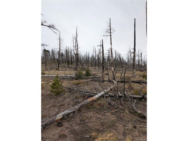 2296 Wohlstetter Loop, Fort Garland, CO 81133