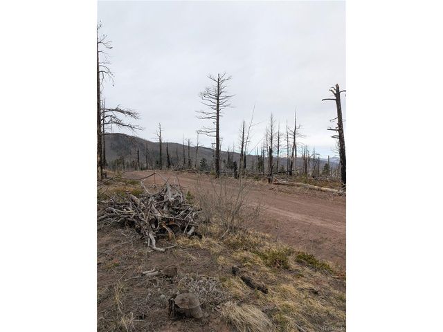 2296 Wohlstetter Loop, Fort Garland, CO 81133