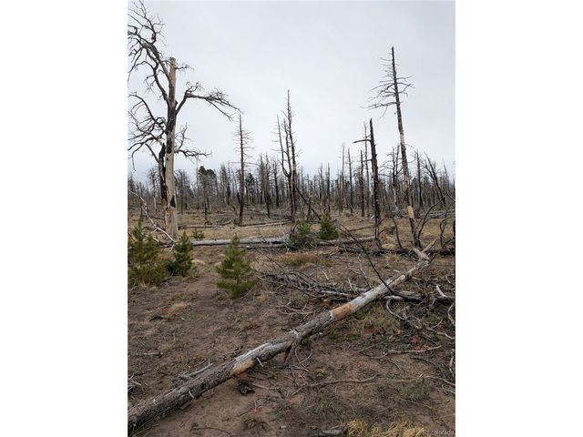 2296 Wohlstetter Loop, Fort Garland, CO 81133