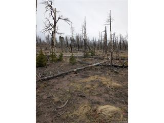 2296 Wohlstetter Loop, Fort Garland, CO 81133