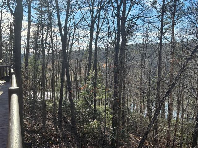 384 Mountain Laurel Drive, Ellijay, GA 30540