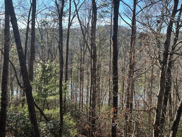 384 Mountain Laurel Drive, Ellijay, GA 30540