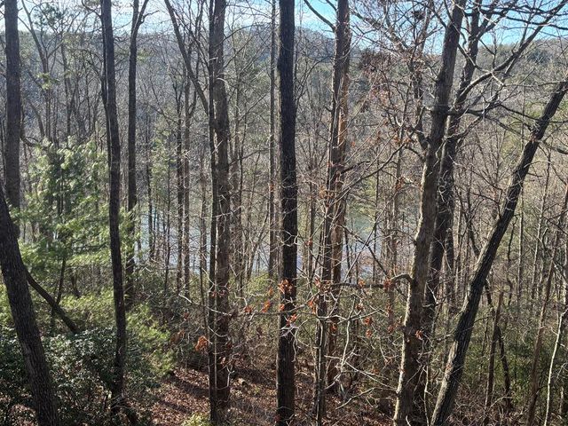 384 Mountain Laurel Drive, Ellijay, GA 30540