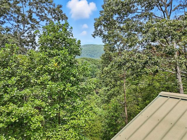 384 Mountain Laurel Drive, Ellijay, GA 30540