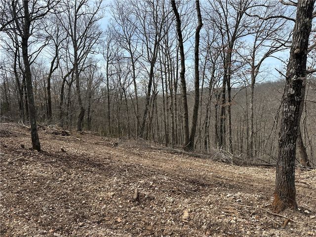 TBD Indian Creek Road, Rogers, AR 72732