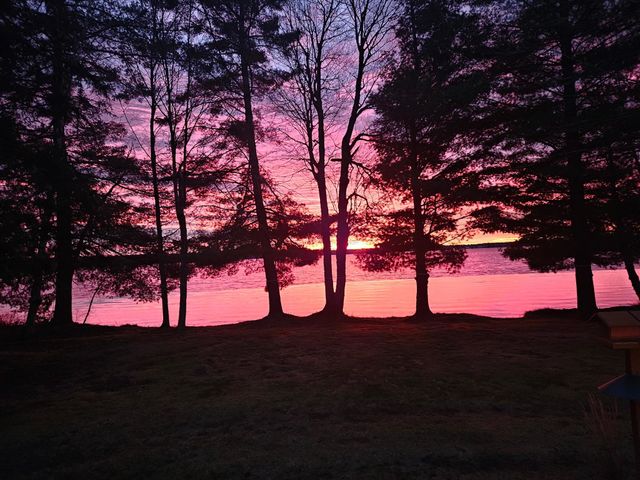 4896 NE Hidden Harbor Drive, Kalkaska, MI 49646