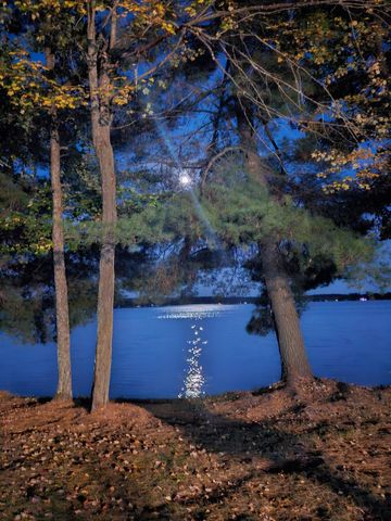 4896 NE Hidden Harbor Drive, Kalkaska, MI 49646