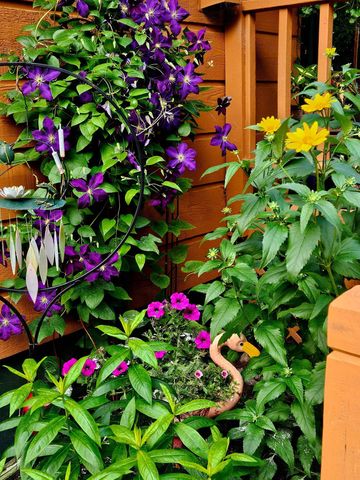 4896 NE Hidden Harbor Drive, Kalkaska, MI 49646