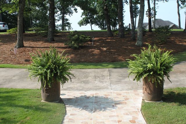 551 Mountain Ridge Drive, Manchester, GA 31816