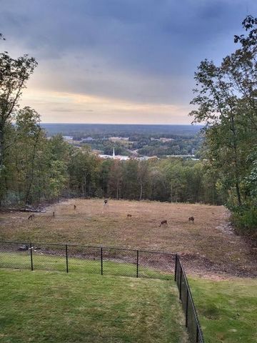 551 Mountain Ridge Drive, Manchester, GA 31816