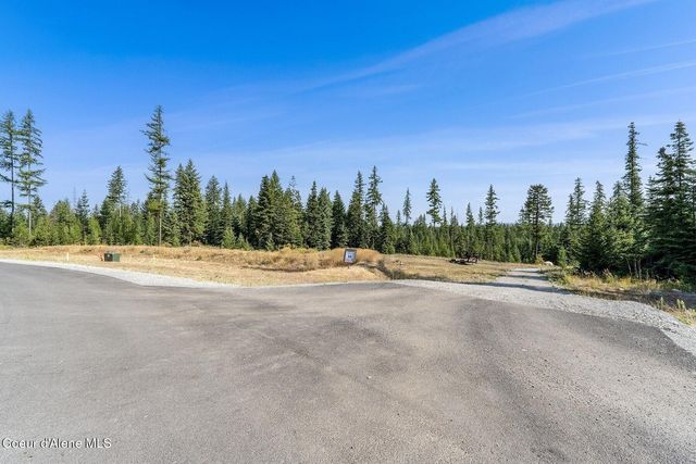 DB Lot 11 Blk 1 Leonard Loop, Athol, ID 83801