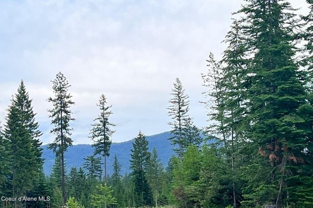 DB Lot 11 Blk 1 Leonard Loop, Athol, ID 83801