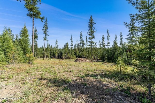 DB Lot 11 Blk 1 Leonard Loop, Athol, ID 83801