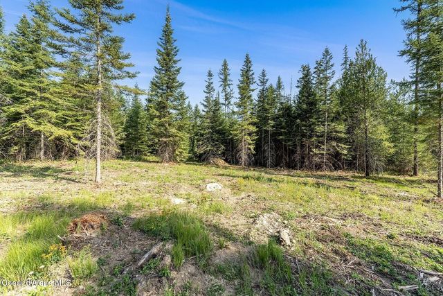 DB Lot 11 Blk 1 Leonard Loop, Athol, ID 83801