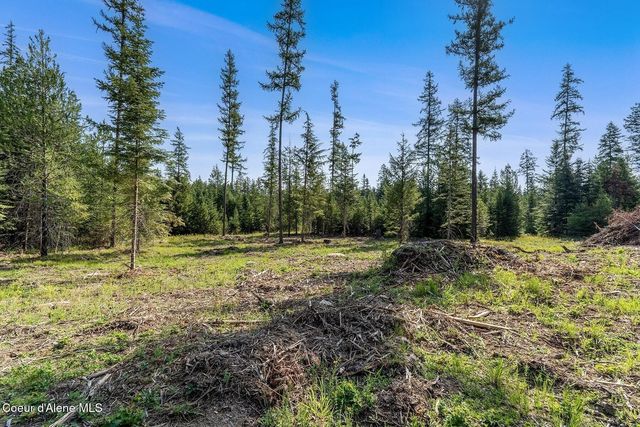 DB Lot 11 Blk 1 Leonard Loop, Athol, ID 83801