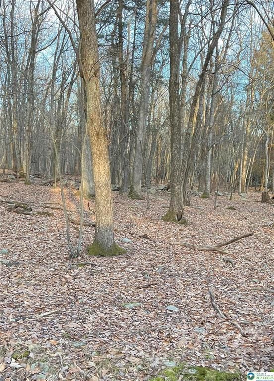 80 Spokane Road, Penn Forest Township, PA 18210