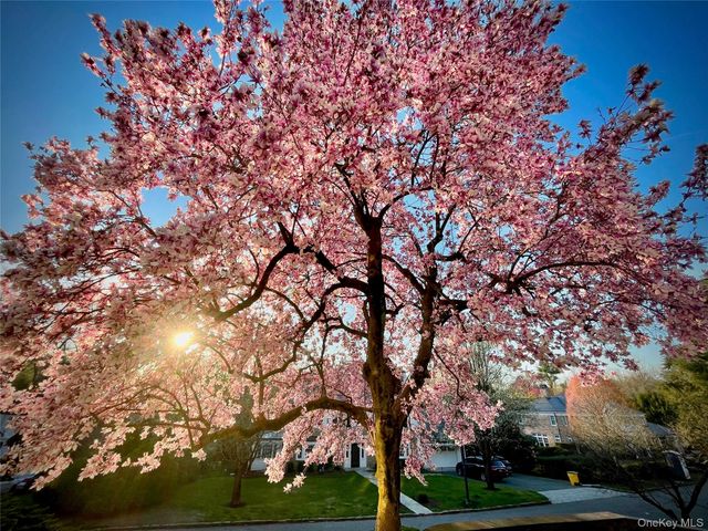 22 Taunton Road, Scarsdale, NY 10583