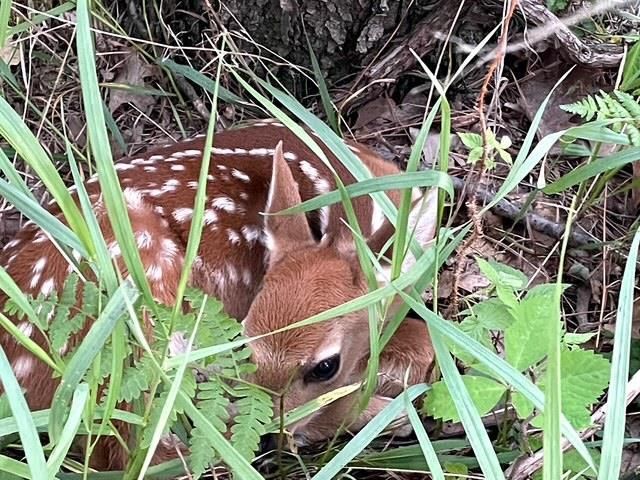 W2069 Elk Court, Montello, WI 53949