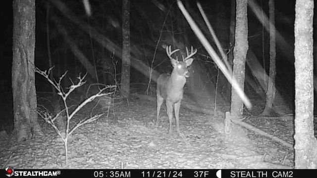 W2069 Elk Court, Montello, WI 53949