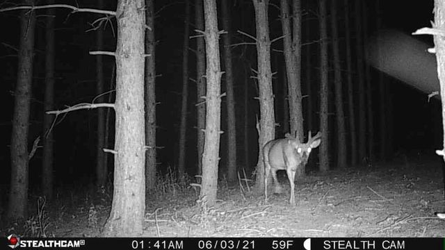 W2069 Elk Court, Montello, WI 53949