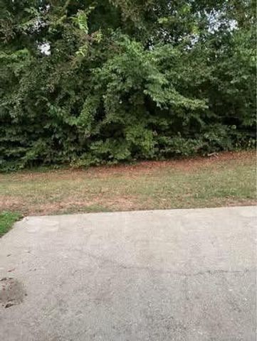 806 Cashmere Dr, Thompsons Station, TN 37179